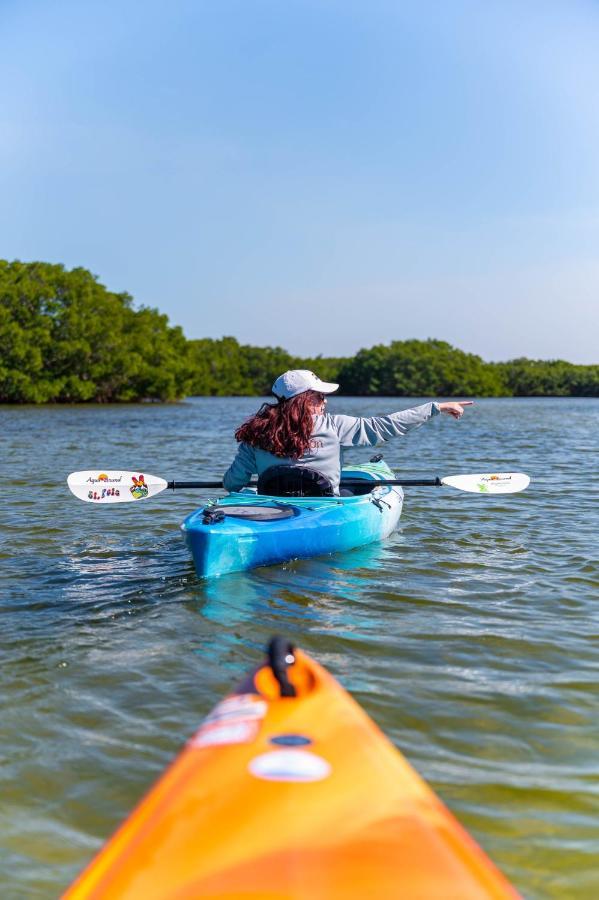 Candlewood Suites - Safety Harbor By Ihg Exterior foto
